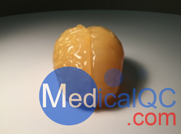 Truephantom BN-A01標準成人腦模體，適用于CT、MRI、超聲