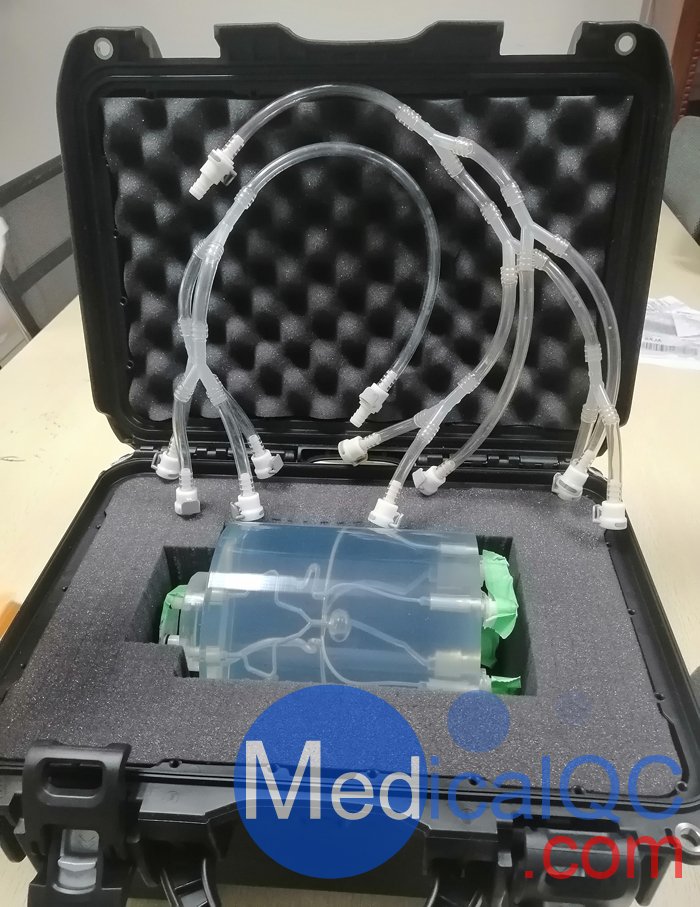 WEK-Blood顱內血管模體,顱內血流模體,顱內血管流動模體
