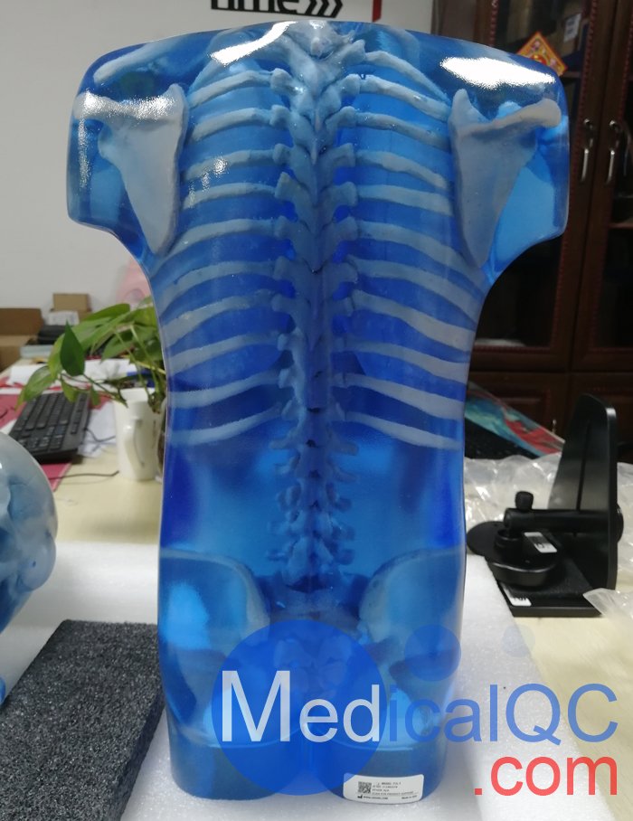 CIRS 715兒童彷真模體，CIRS 715兒童訓練模體