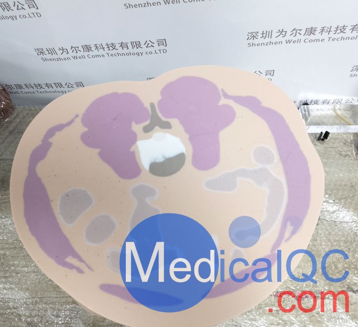CIRS 801-P男性骨盤(pán)模體，CIRS 801-P模體實(shí)物拍攝圖
