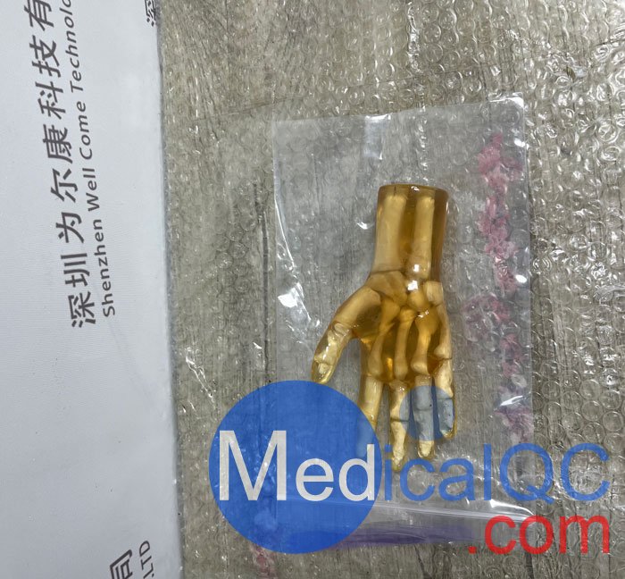 HN-P01兒童手掌模體，HN-P01手掌模型產(chǎn)品實(shí)拍圖